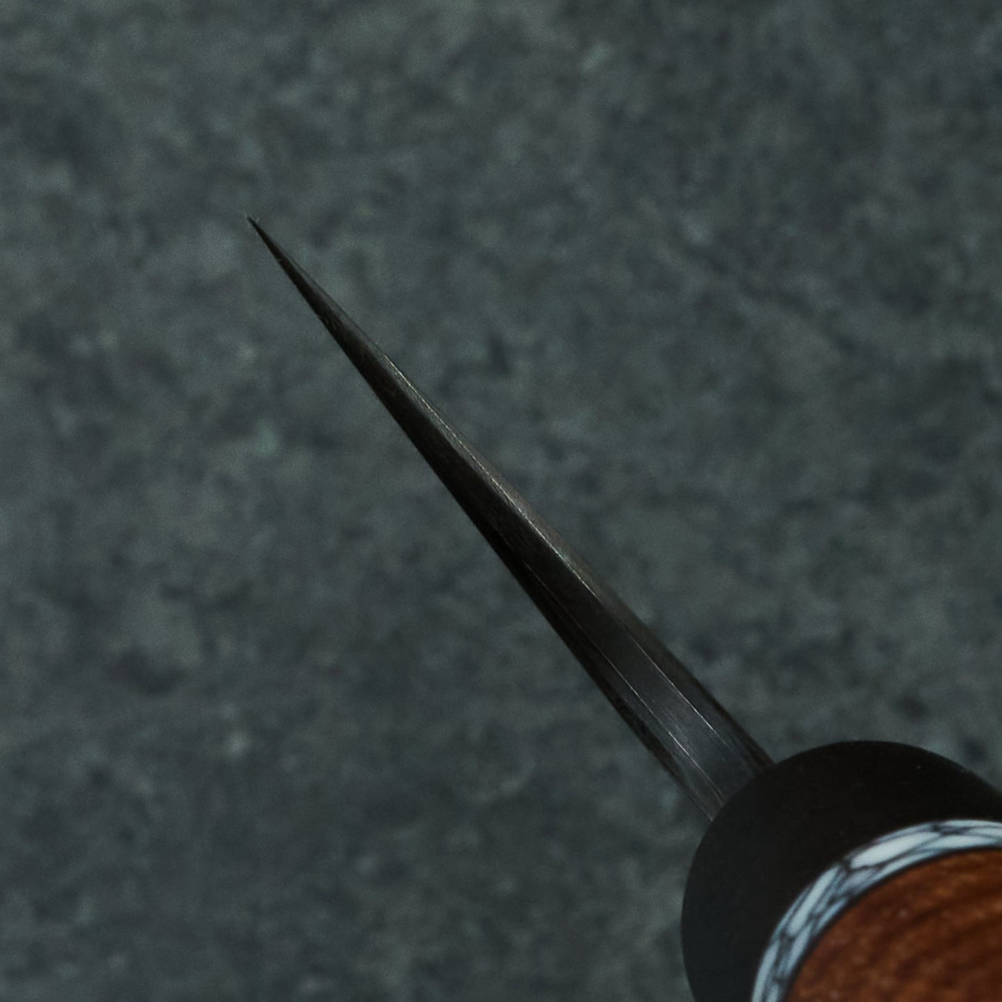 Gyuto 245mm SilverLine Tasmanian Blackwood, True Stone & Bog Oak – blade close-up