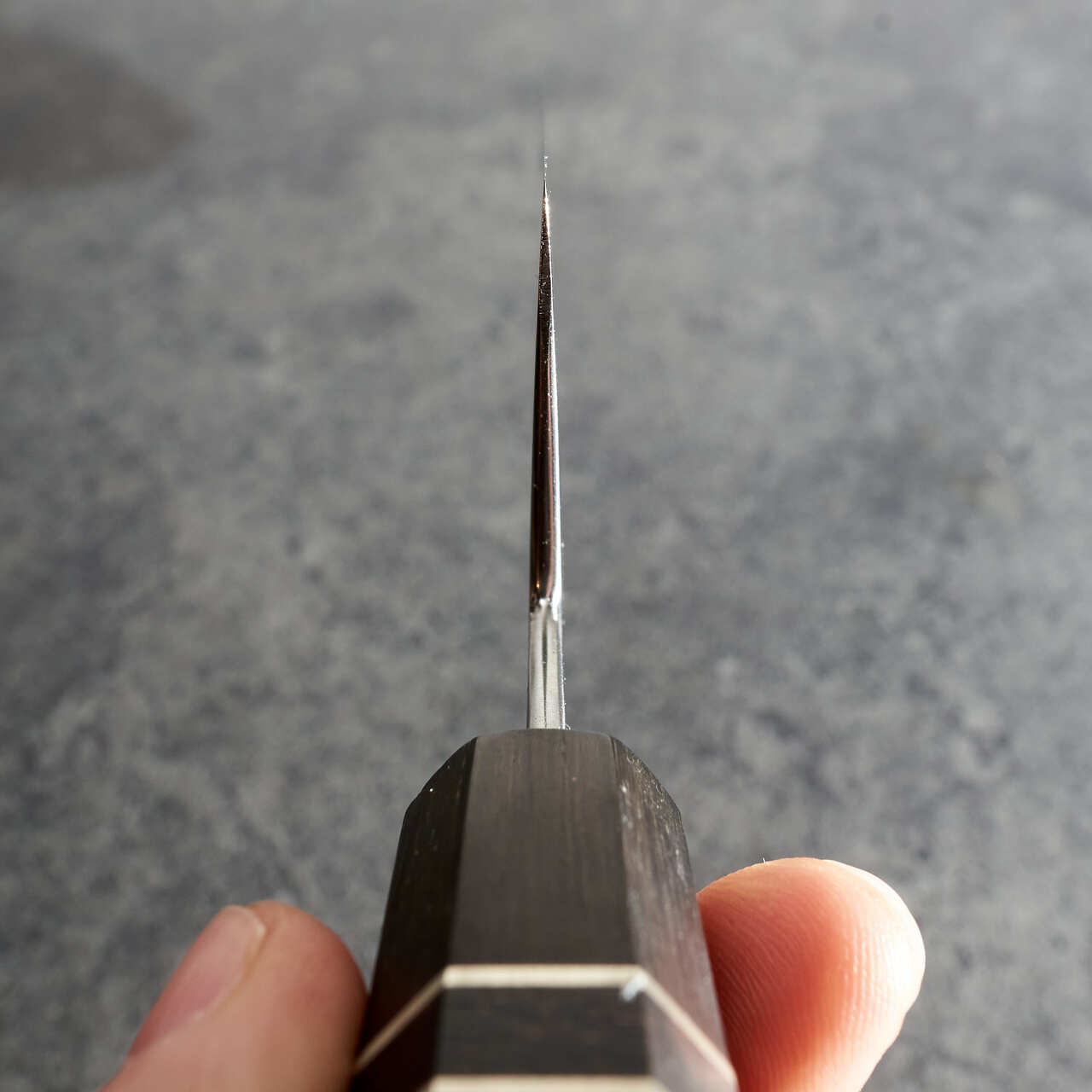 Isasmedjan Gyuto 230mm Honyaki 26c3 Bog Oak, Carbon & German Silver Handle - Choil