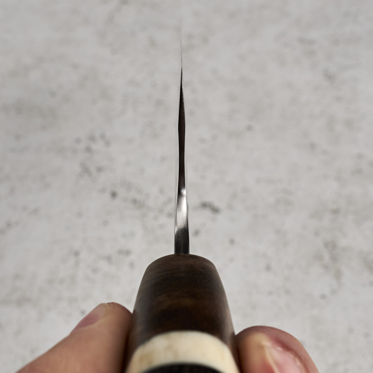 Lew Griffin Gyuto 240mm 52100 Carbon Steel - S Grind - Choil