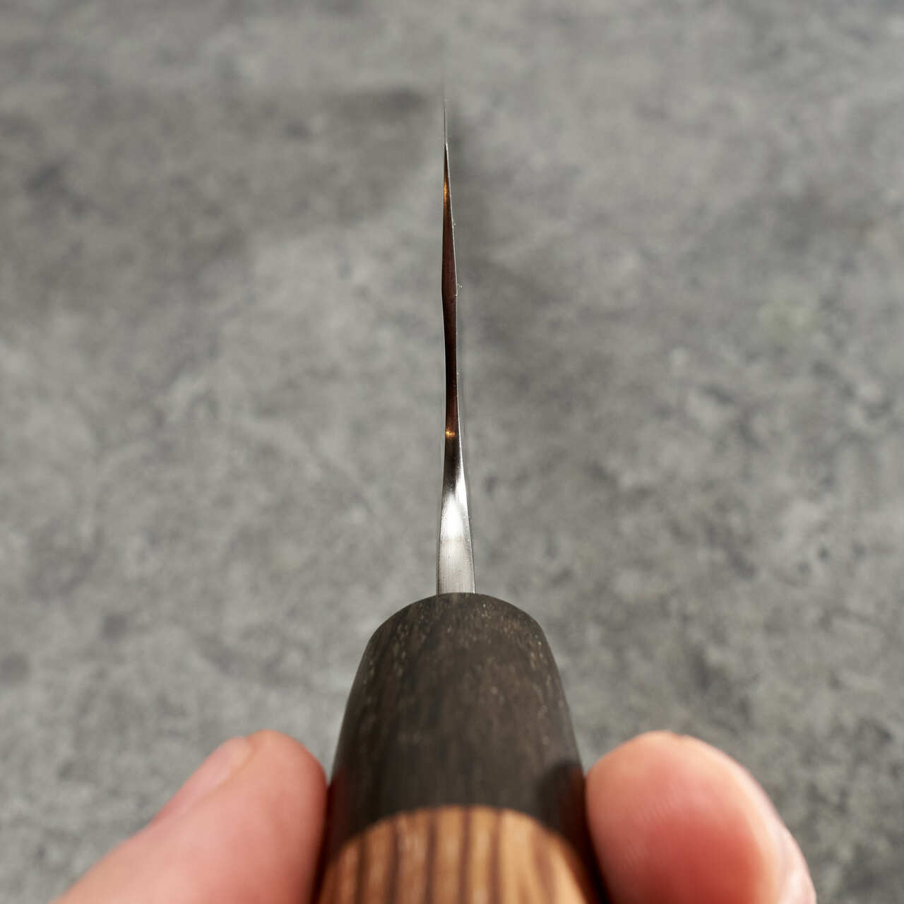Lew Griffin Gyuto 250mm 52100 Carbon Steel - "S" Grind with Saya - Choil