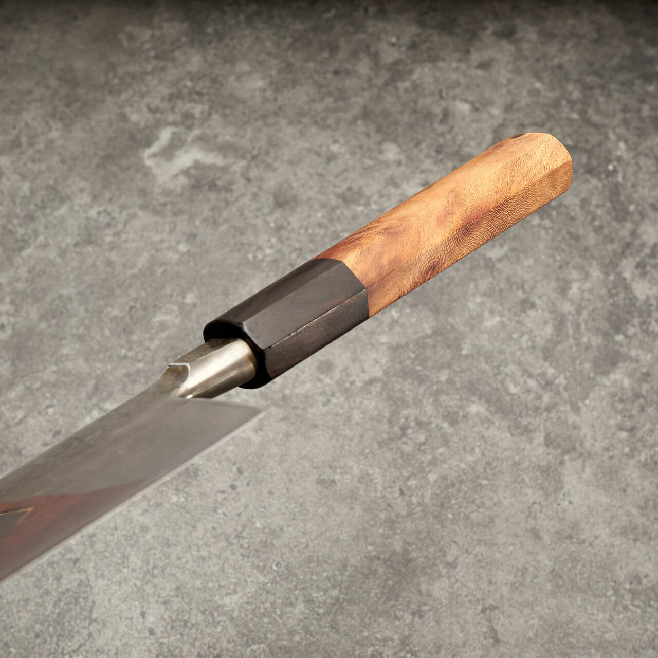 Radiona Breg Gyuto 225mm 1.2562 Honyaki African Blackwood and Almond Handle - Handle