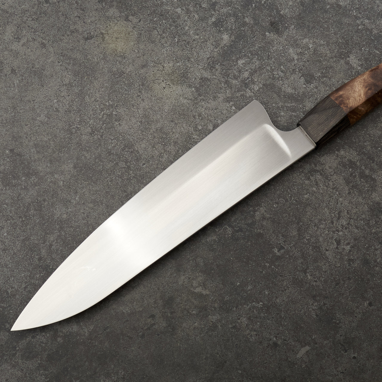 Lew Griffin Gyuto 220mm AEB-L Stainless Steel - "S" Grind - Profile