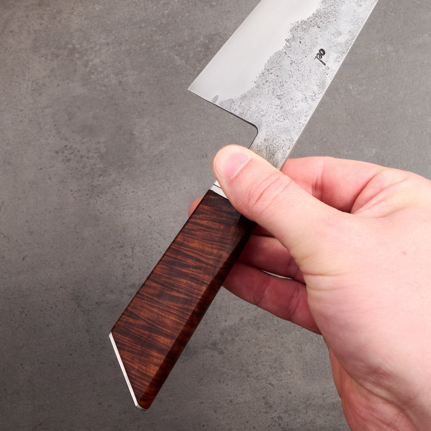Gyuto 220mm Carbon Pro Gidgee & 1.2419.05 – blade close-up