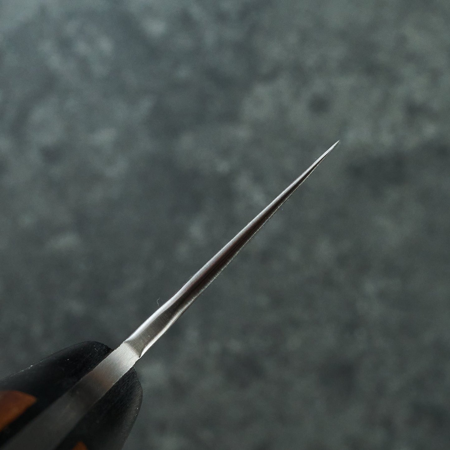 Gyuto 220mm Damascus clad 1.2419 Chesnut & G10 Full Tang – blade close-up