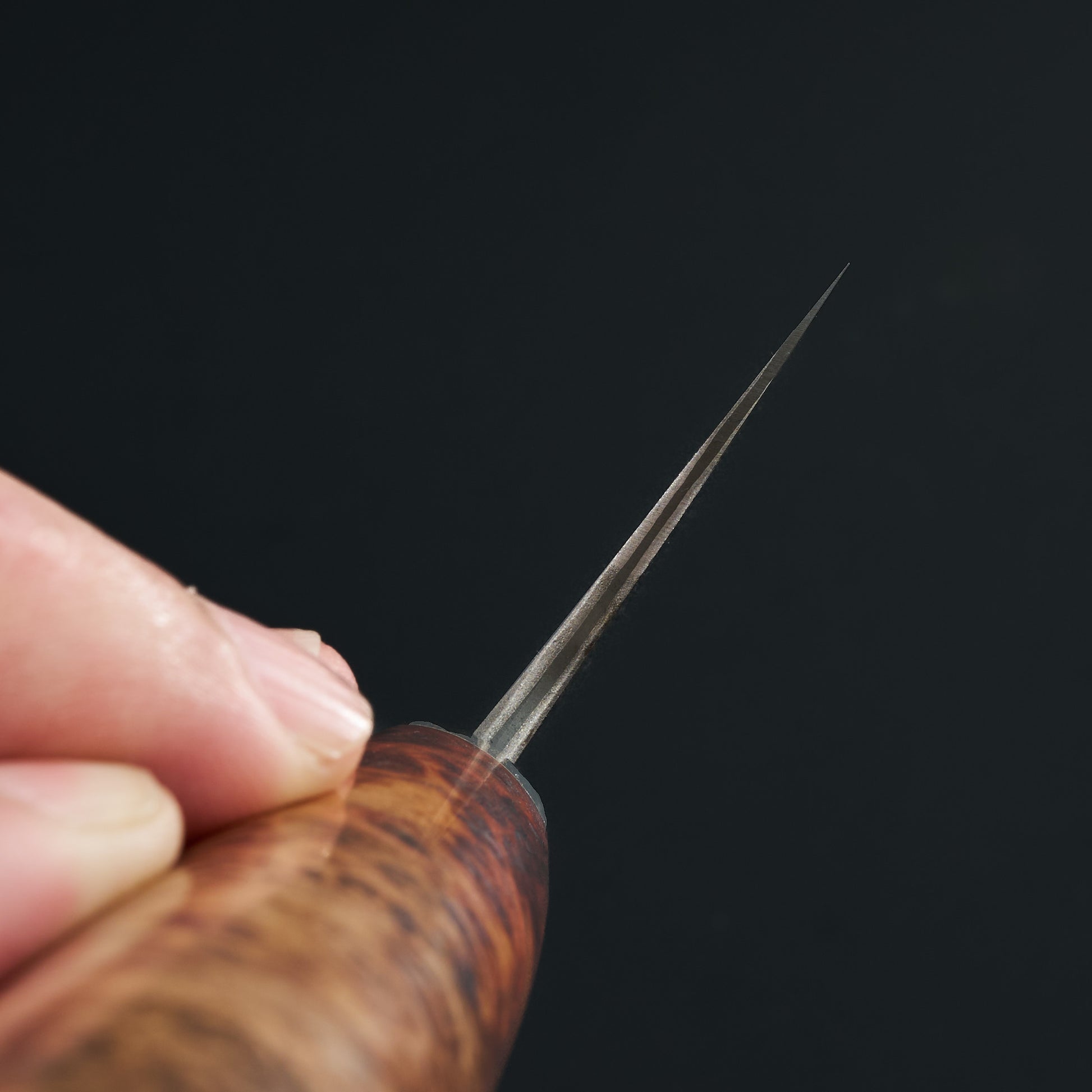 Gyuto 224mm Damascus Clad Apex Ultra Spalted Amboyna – side profile