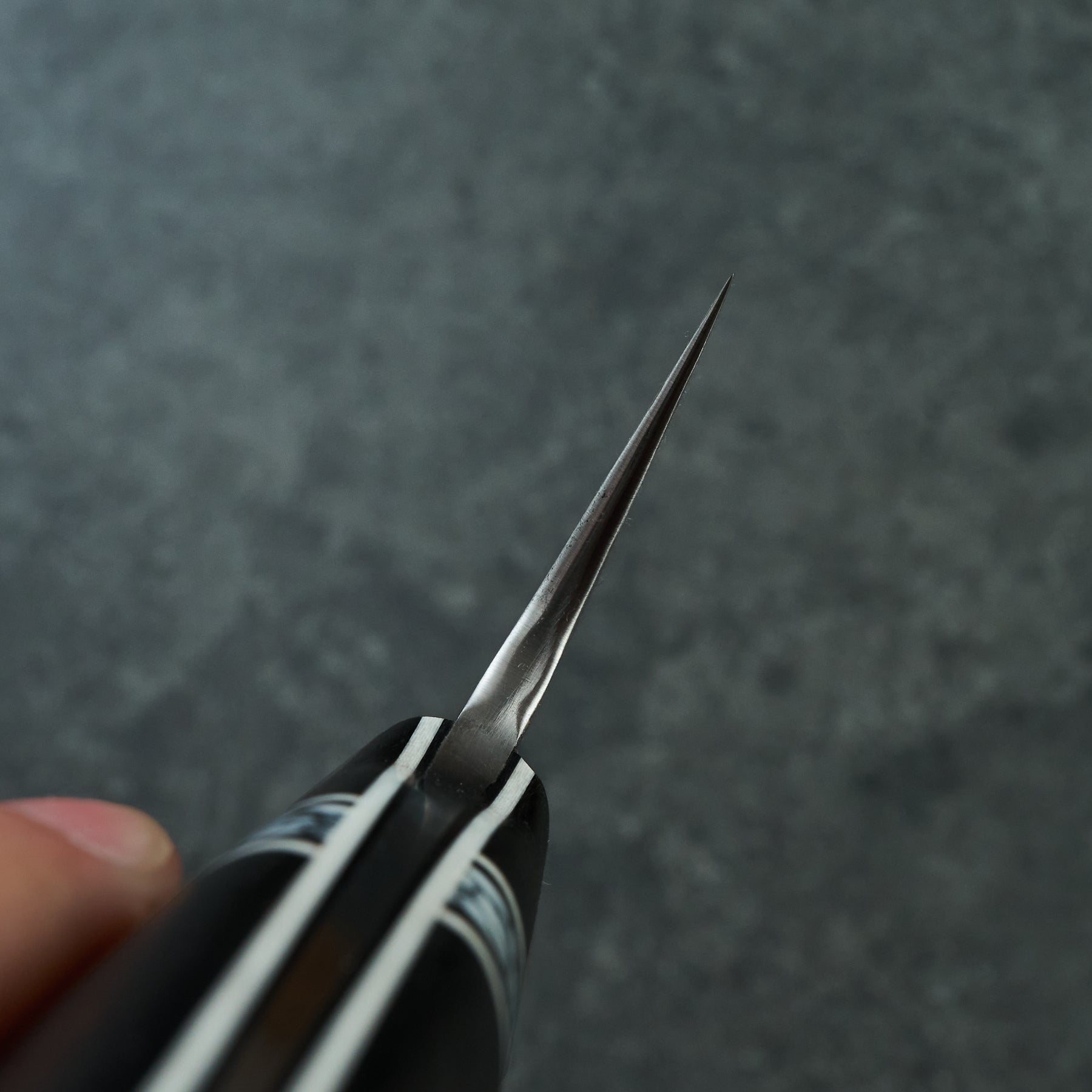 Gyuto 230mm Damascus clad 1.2419 Bog Oak & TruStone Tapered Full Tang – blade close-up
