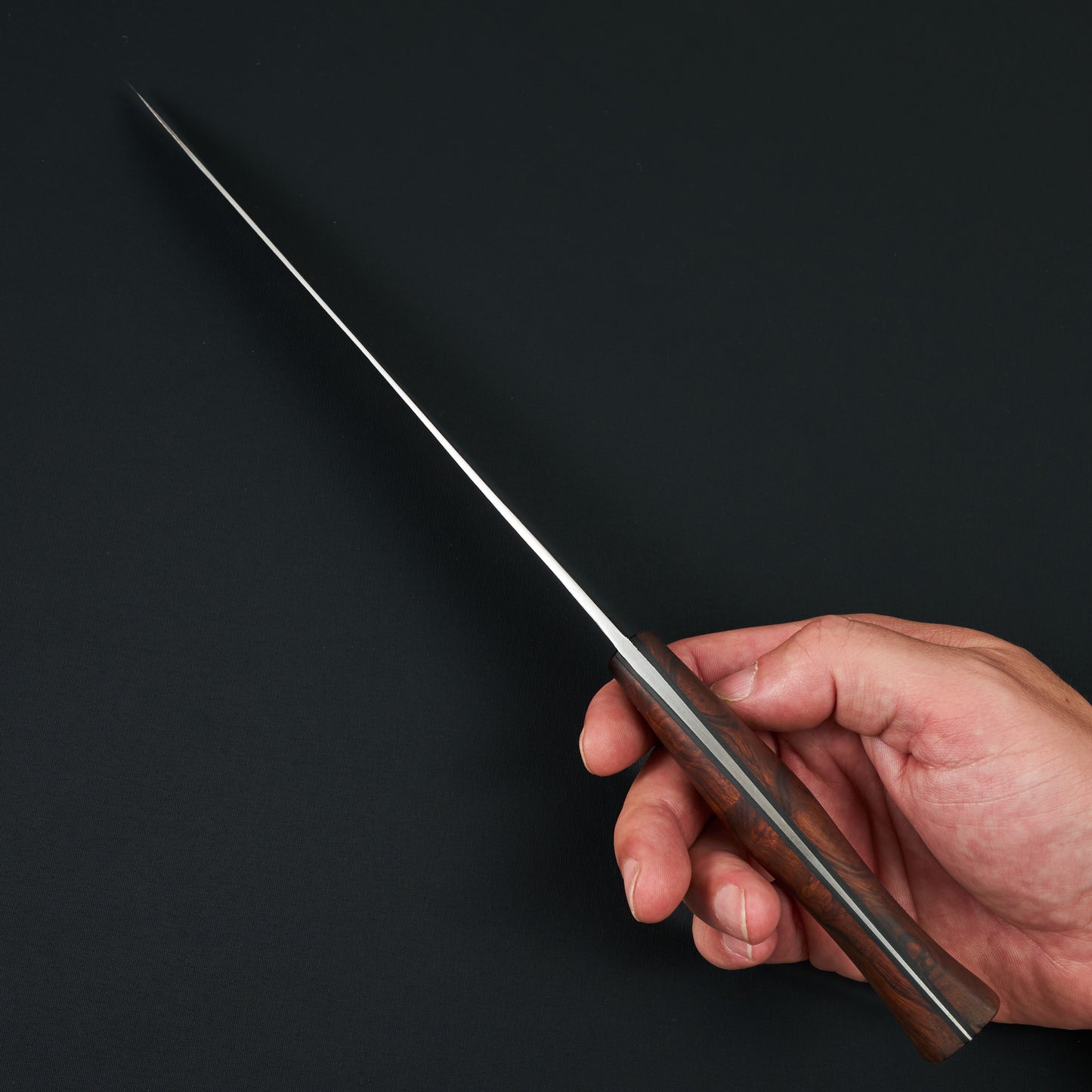 Gyuto 230mm Dammy Line KuMai Ironwood Full Tang – side profile