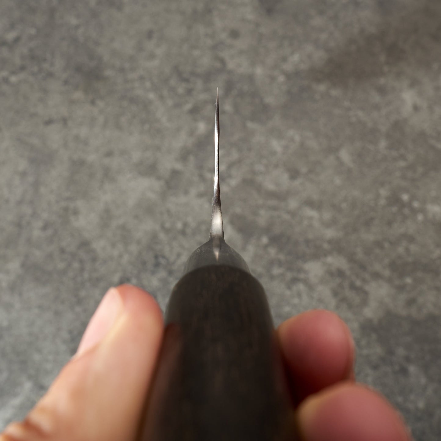 Gyuto 230mm Integral 'Duir' Celtic Ogham 'S' Grind – blade close-up