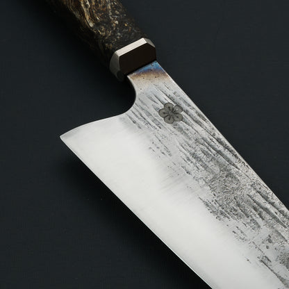 Gyuto 240mm 1.2419 Mono Titanium and Hempwood