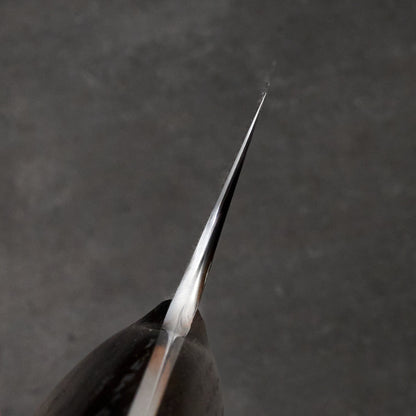 Gyuto 235mm Damascus and Apex Ultra GoMai – blade close-up