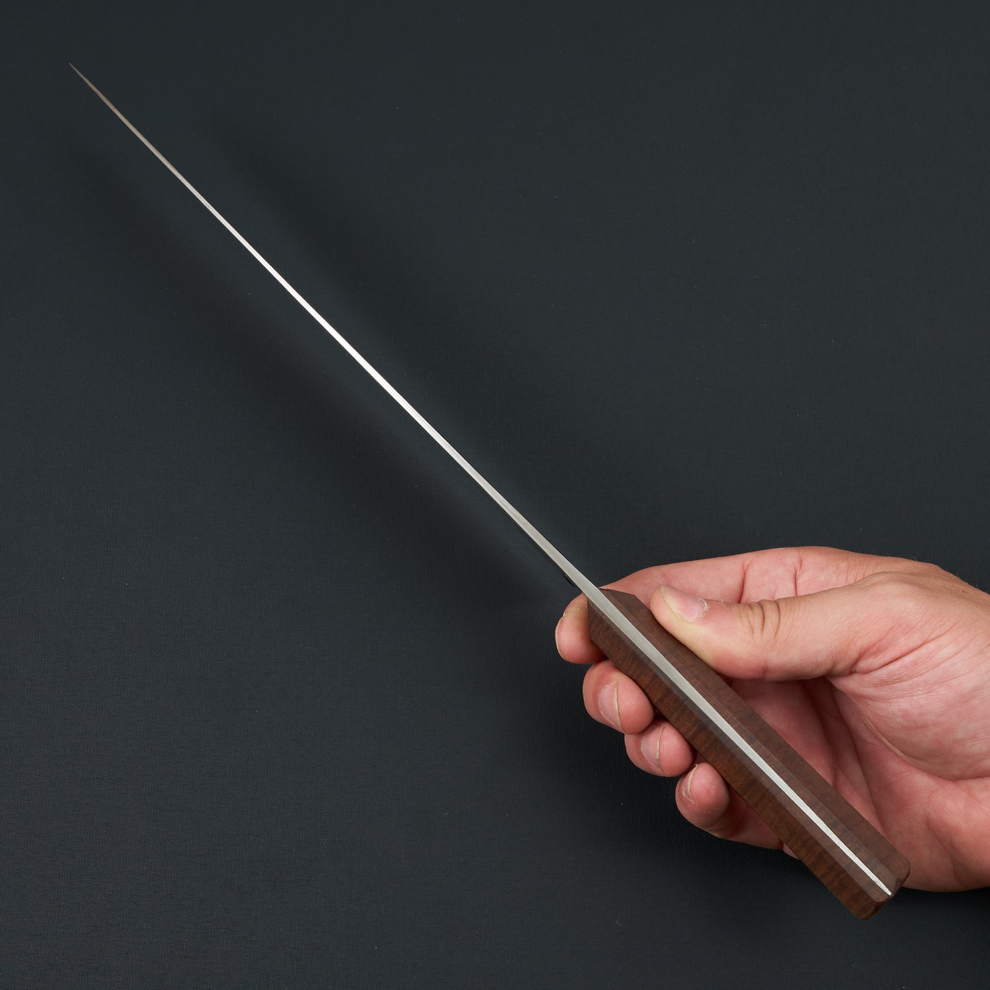 Gyuto 240mm 1.2419 Mono Full Tang MCX Design By Timo Verschuren – side profile