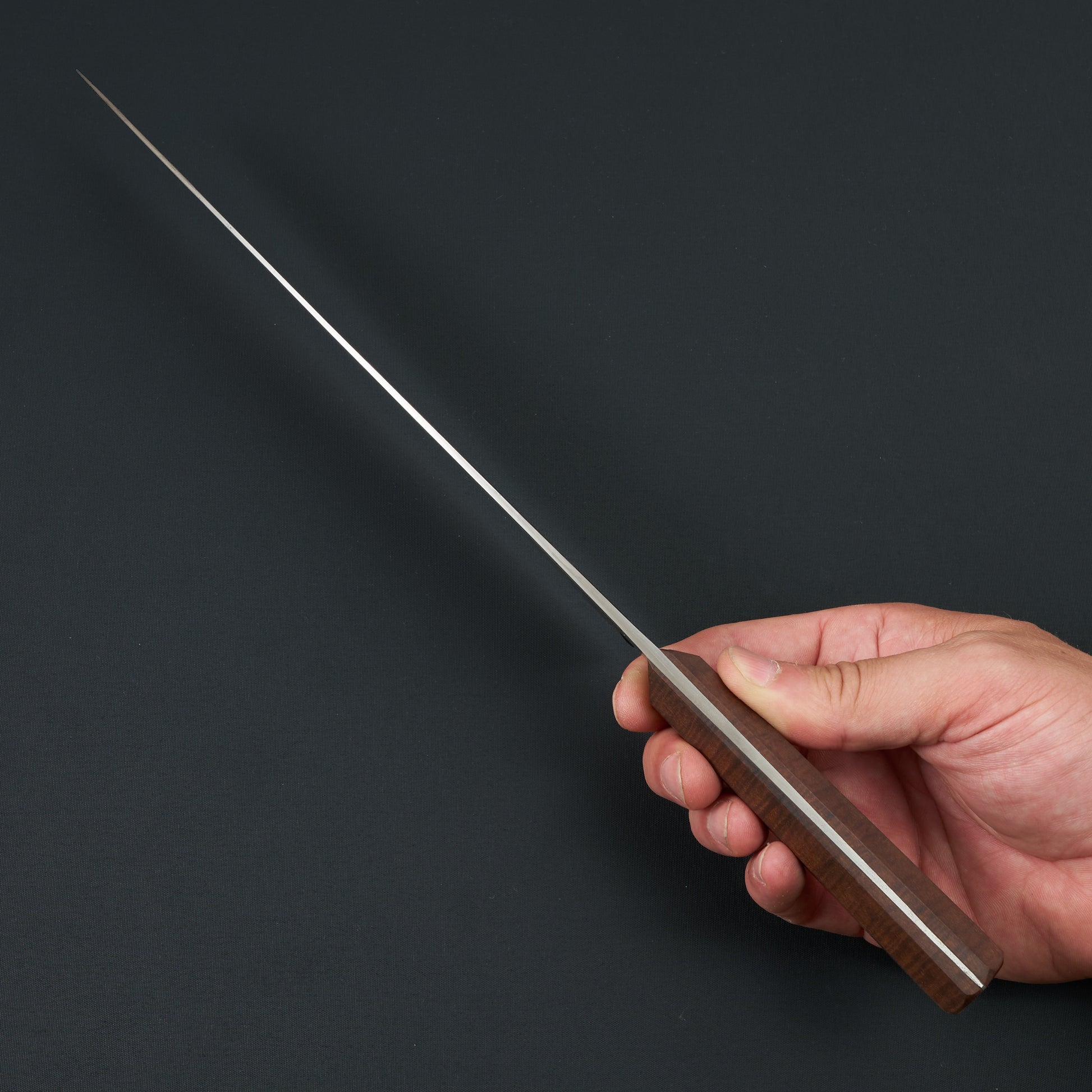 Gyuto 240mm 1.2419 Mono Full Tang MCX Design By Timo Verschuren – side profile