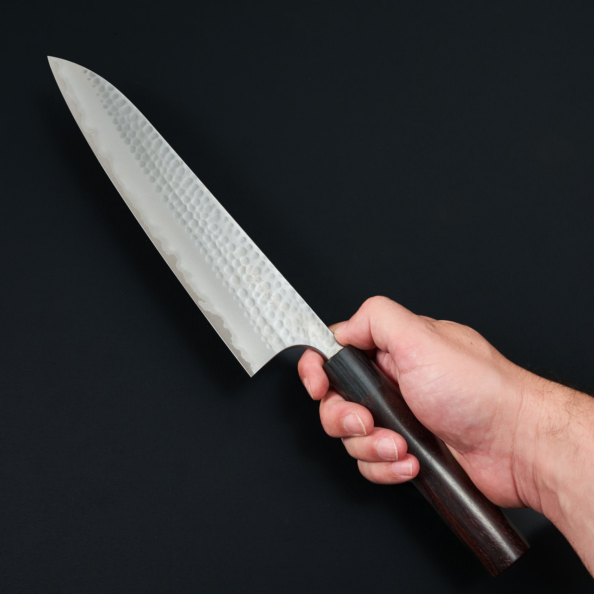 Gyuto 240mm Blue #2 Stainless Clad Tsuchime Rosewood – detail view
