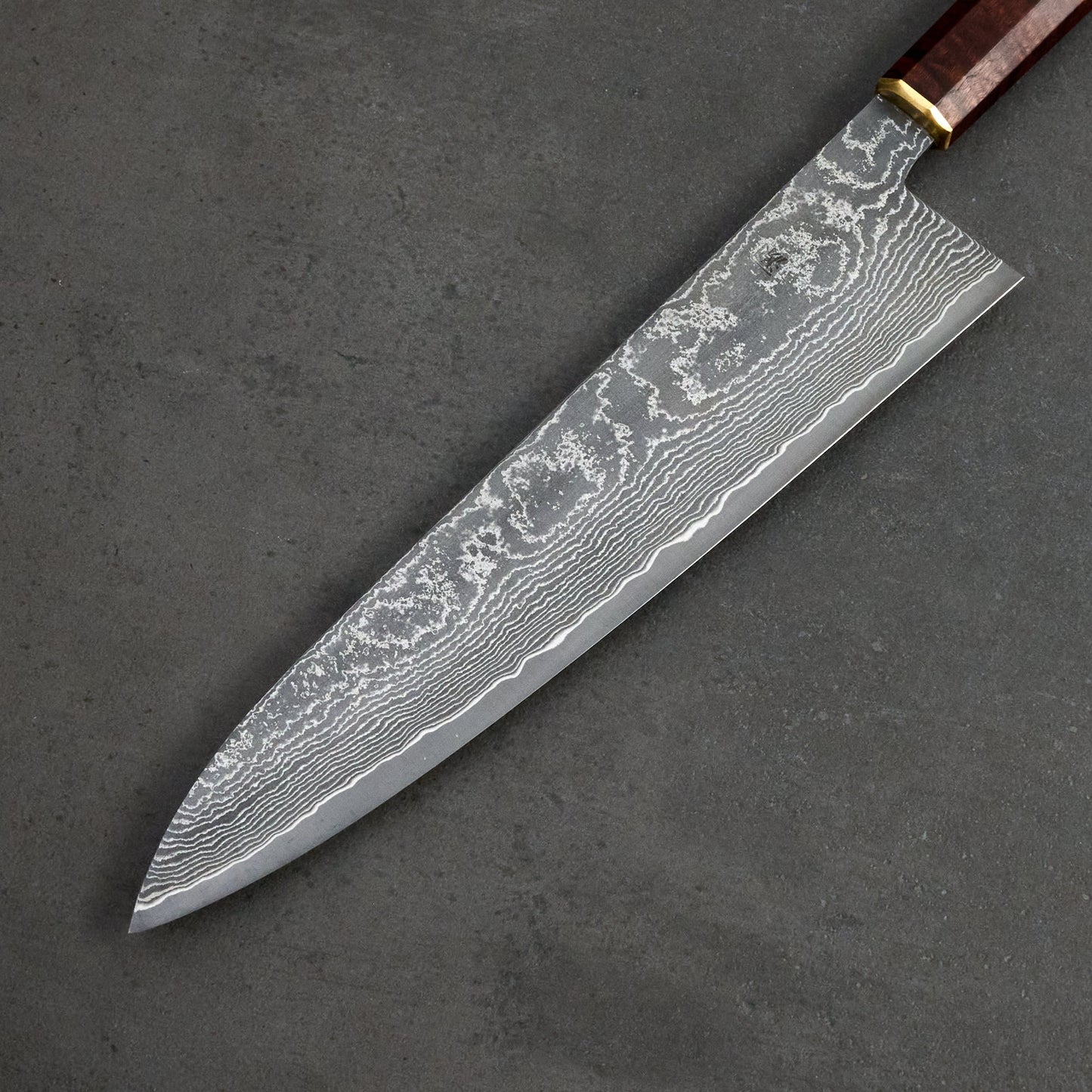 Gyuto 240mm SG2 Damascus Clad Gidgee & Brass – blade close-up