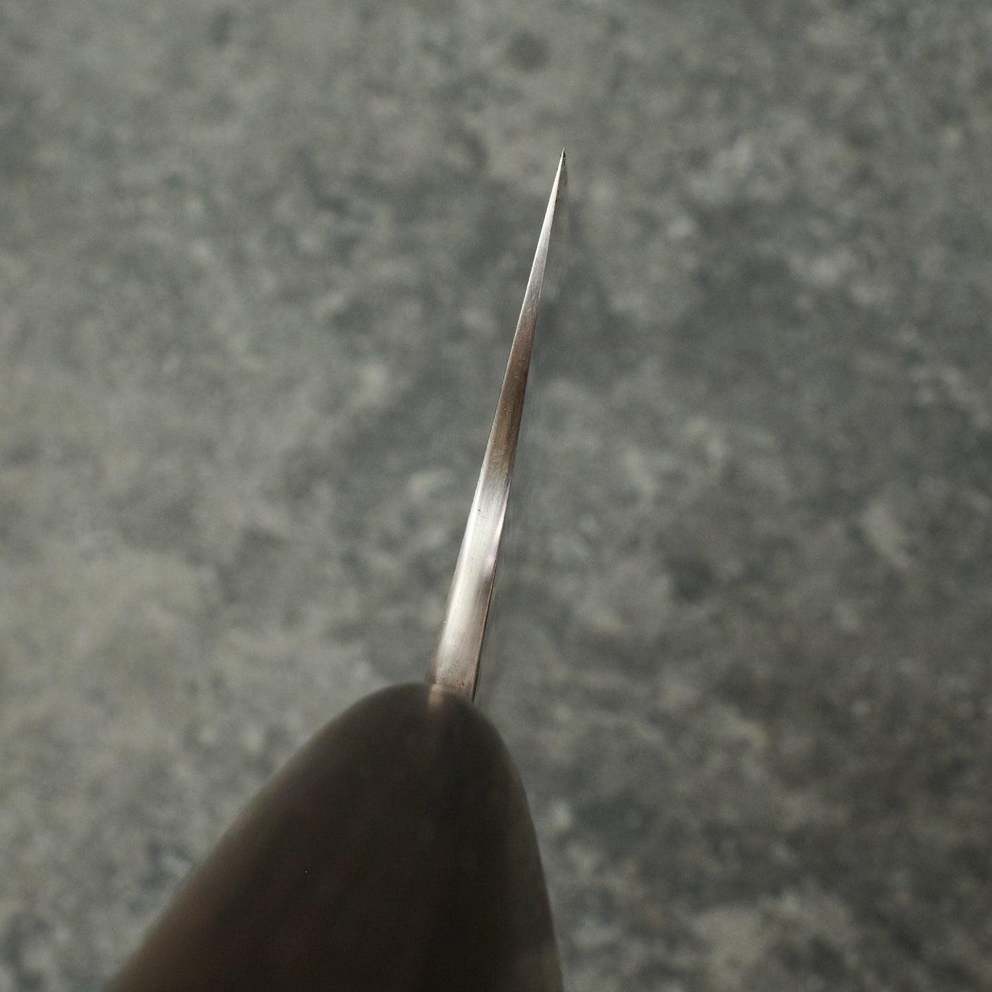 Gyuto 245mm GoMai Apex Ultra – detail view