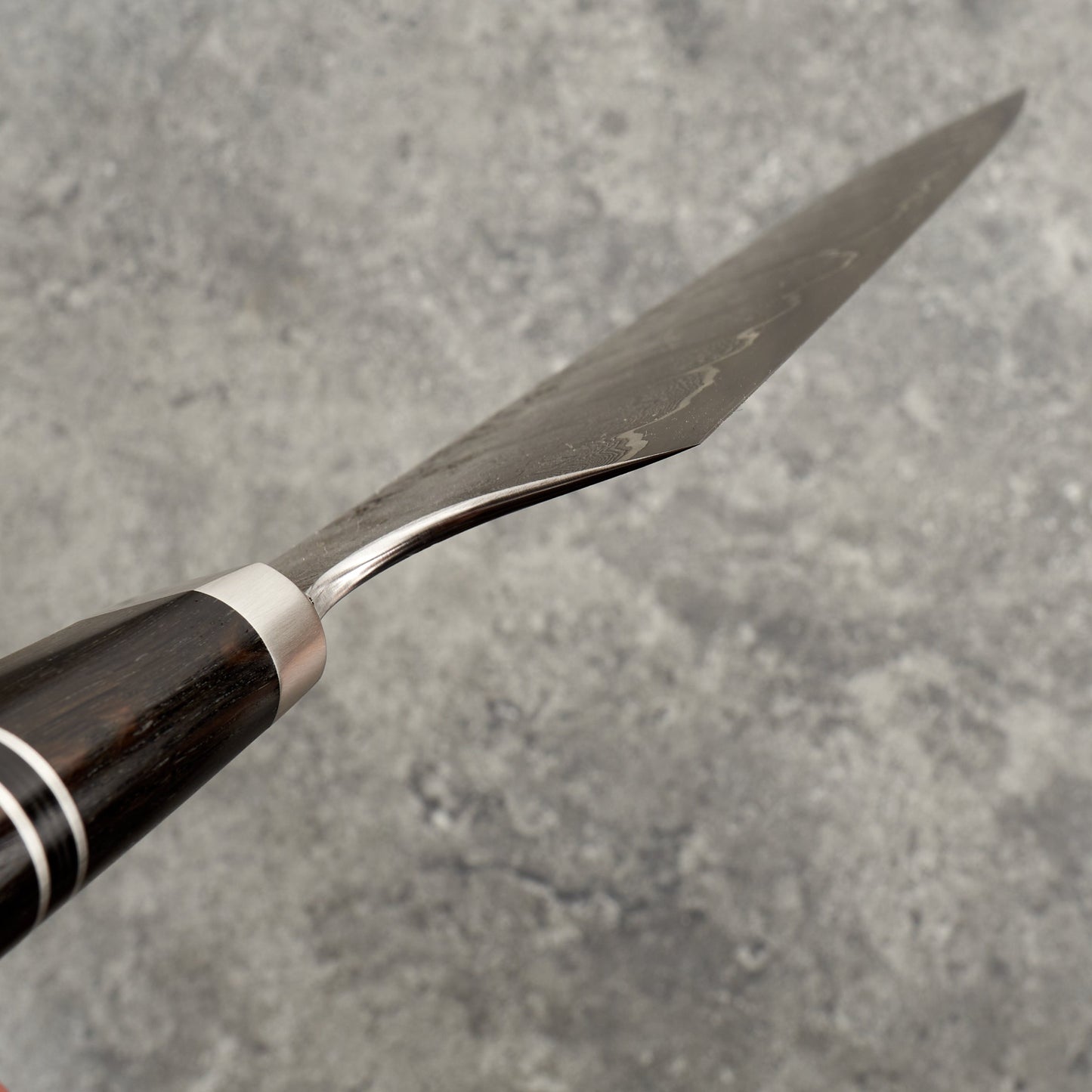 Gyuto 250mm Damascus Clad 1.2519 & Ancient Oak – blade close-up