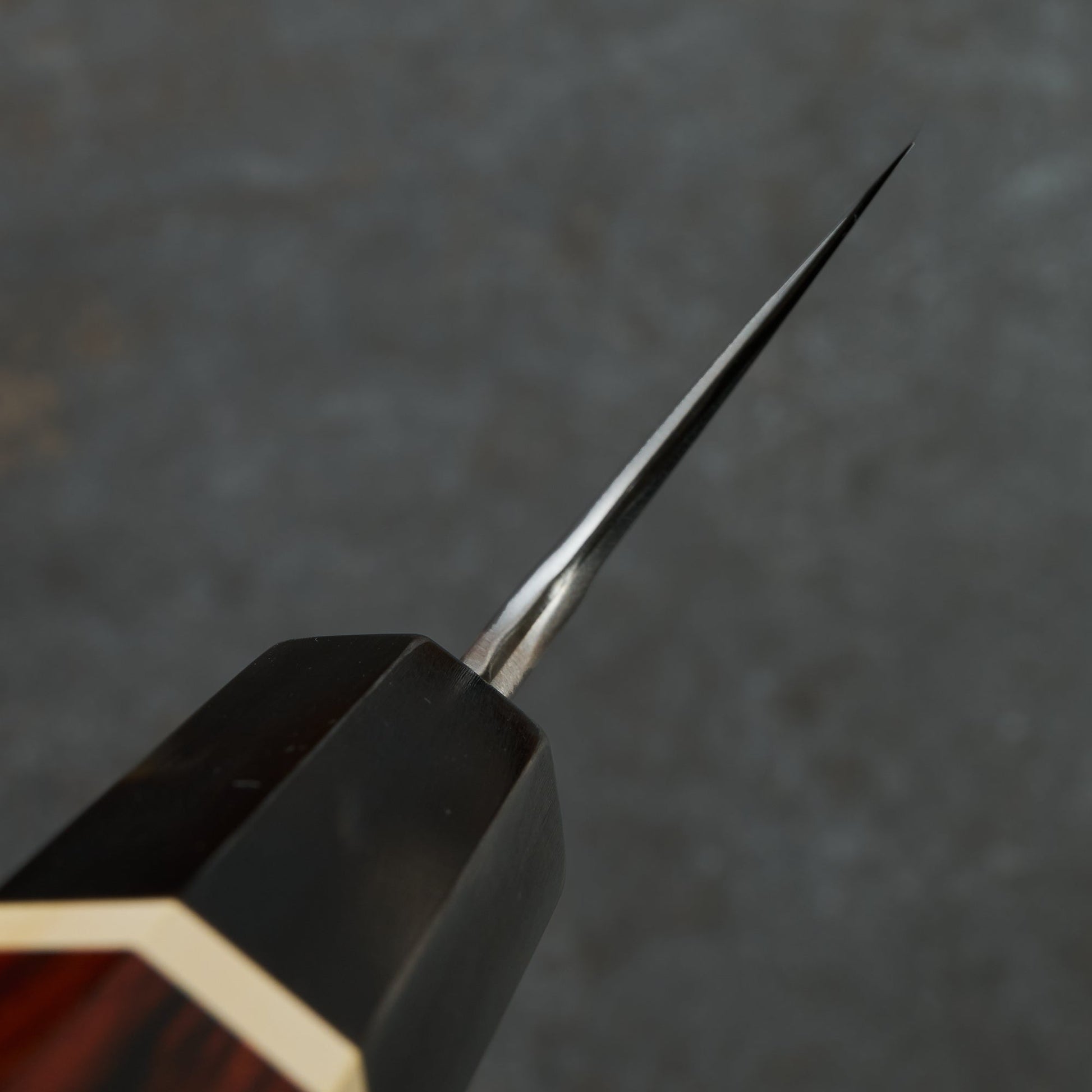 Gyuto 240mm Stainless Clad Apex Ultra Cocobolo & Horn – blade close-up