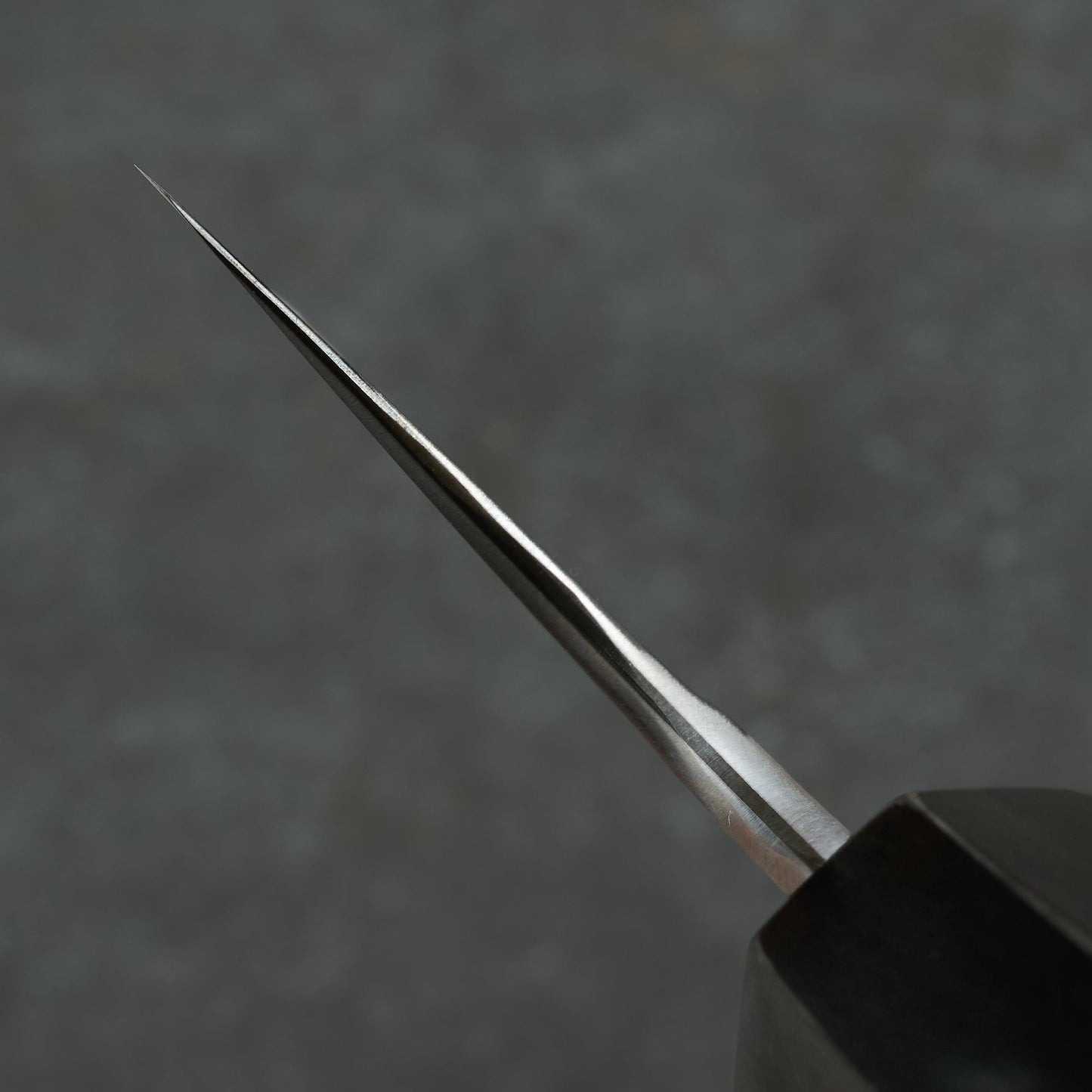 Gyuto 240mm Stainless Clad Apex Ultra Cocobolo & Horn – view 6