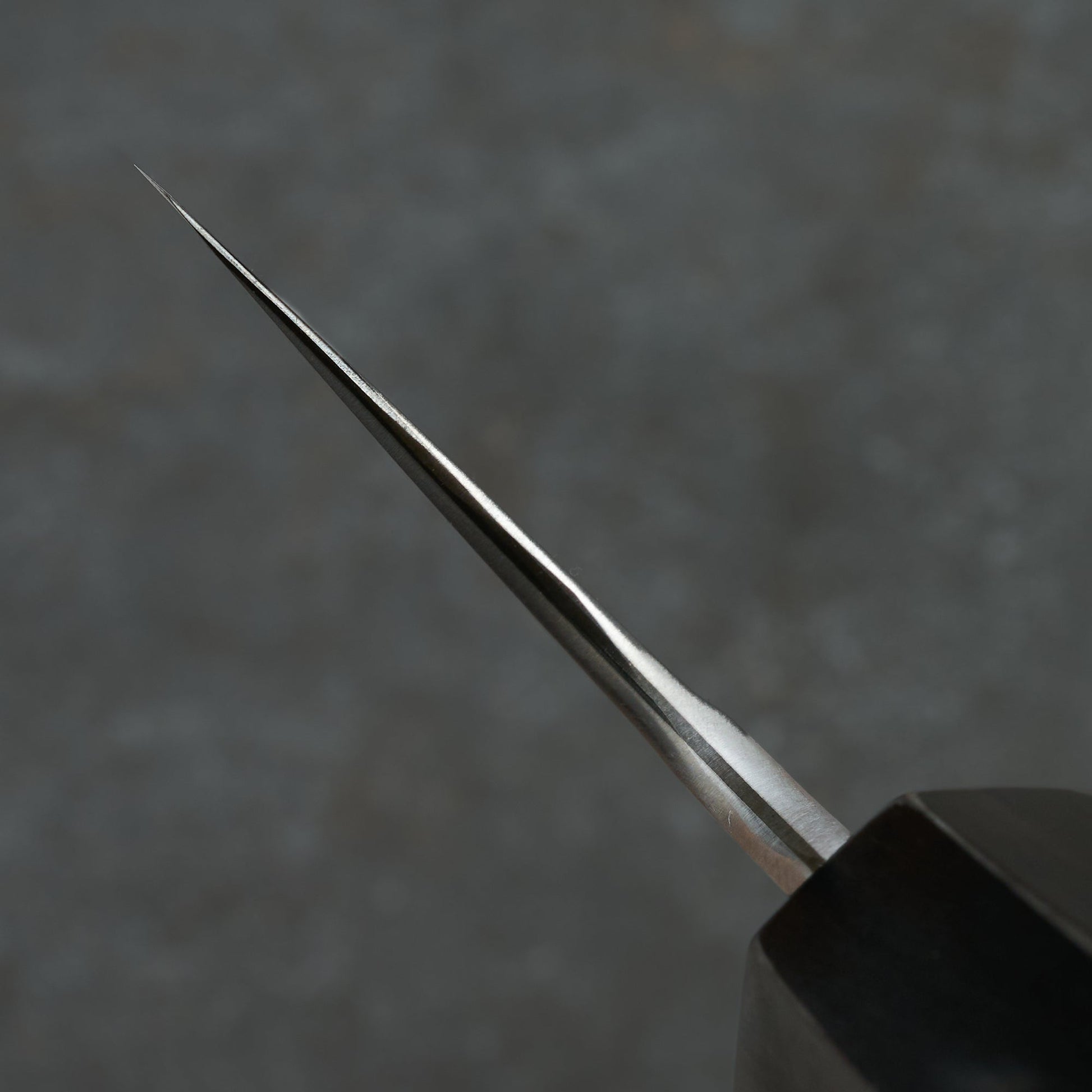 Gyuto 240mm Stainless Clad Apex Ultra Cocobolo & Horn – view 6