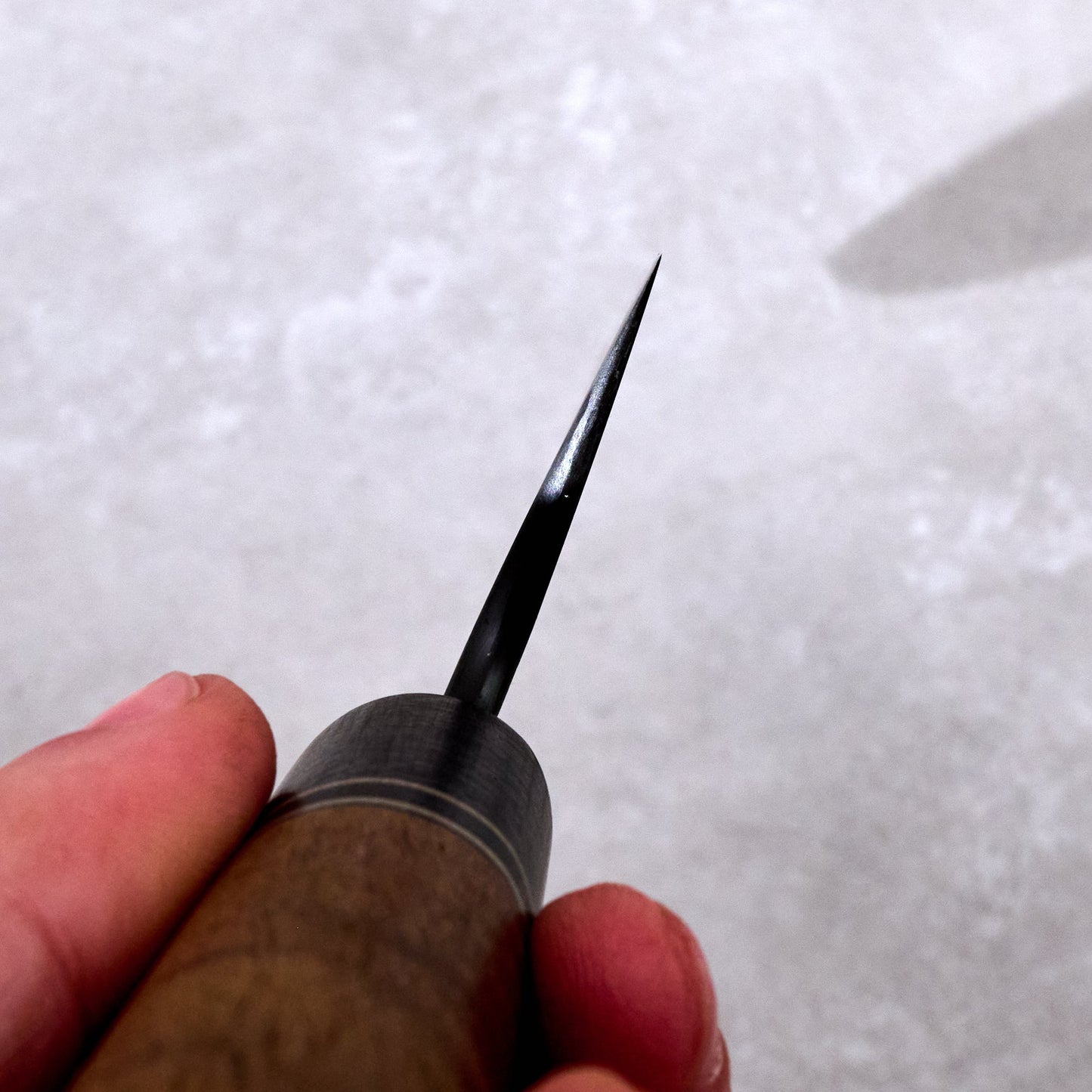 Gyuto 250mm Workhorse C Grind 1.2419.05 Curly Acacia & German Silver Inlay – blade close-up
