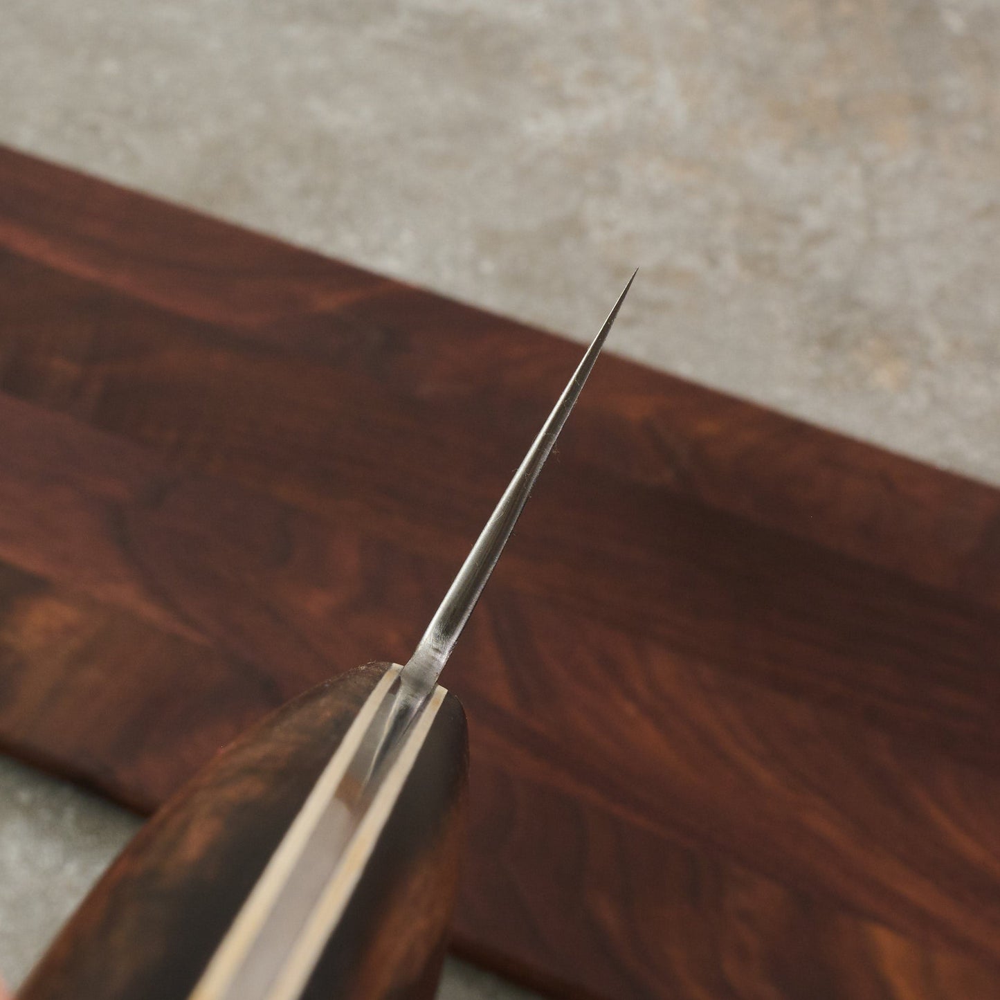 Gyuto 260mm Wrought Iron Clad SanMai 1.2652 – side profile