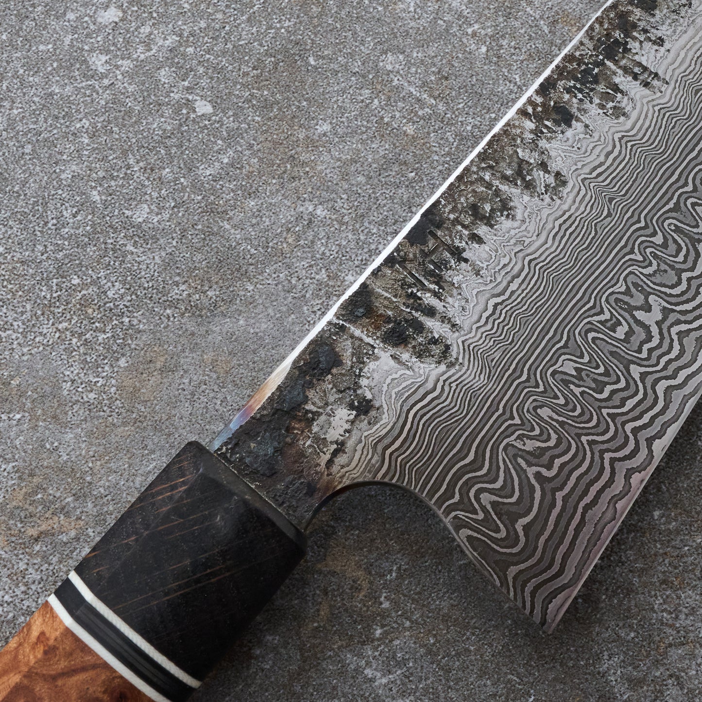 Gyuto 230mm 100 Layer Damascus Elm Burl – side profile