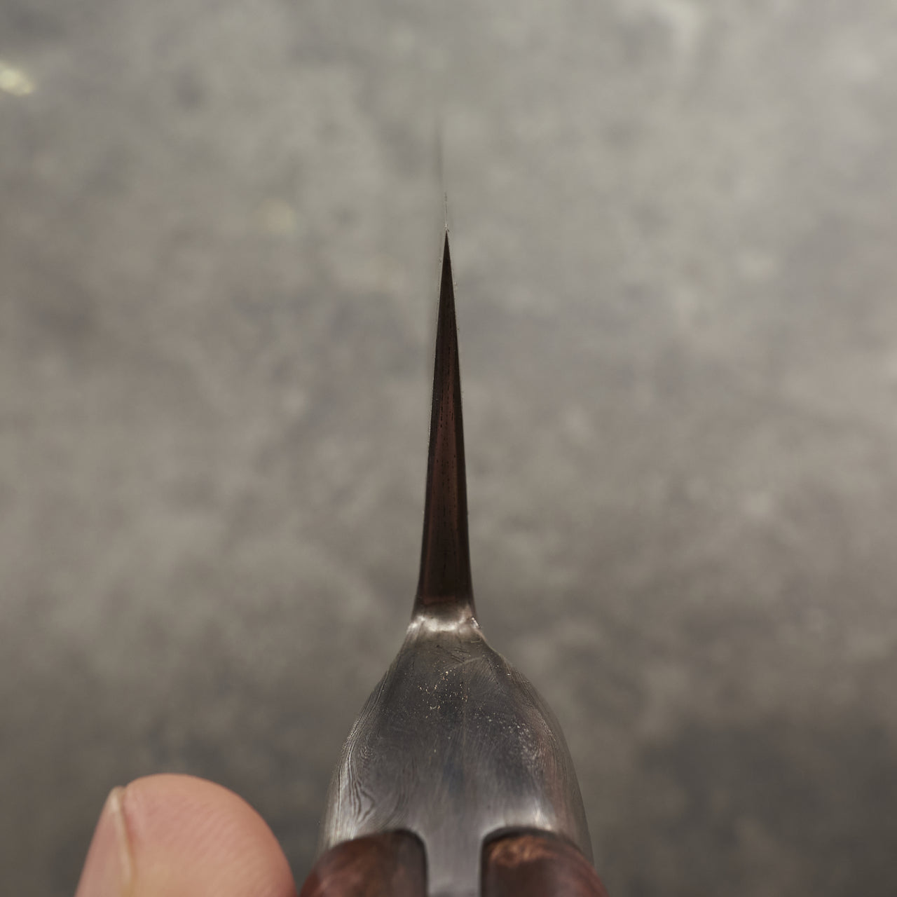 Isasmedjan Gyuto 240mm 26c3 Dammy Clad - Full Tang Integral Handle with Saya - Choil