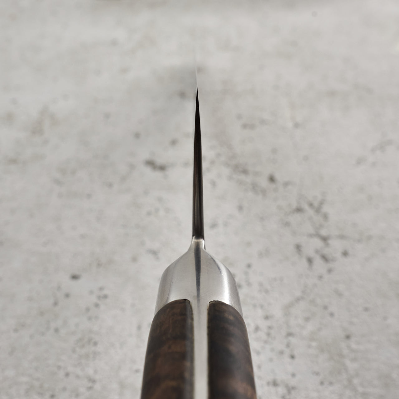Gyuto 240mm Honyaki with Full Tang Integral Tasmanian Blackwood Handle - Choil
