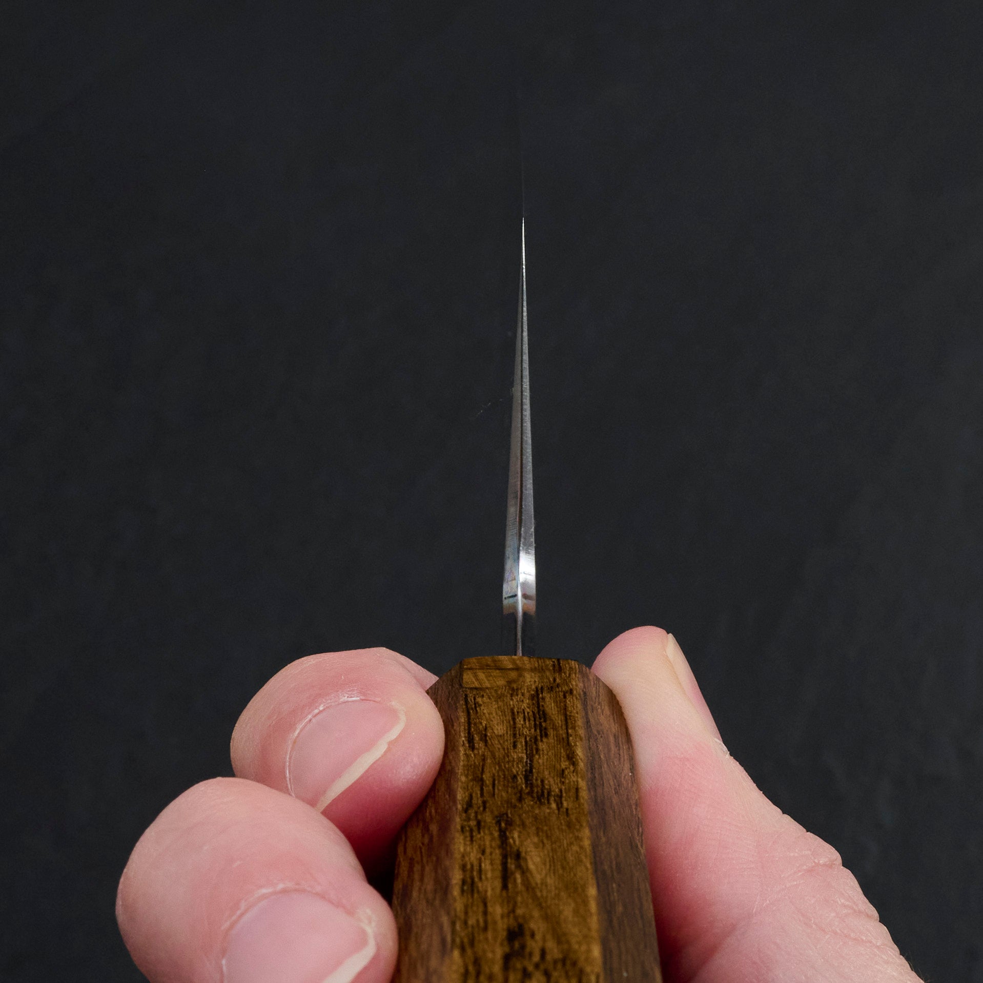 Gyuto 210mm B1D Aogami #1 Damascus Clad Black Oak – blade close-up