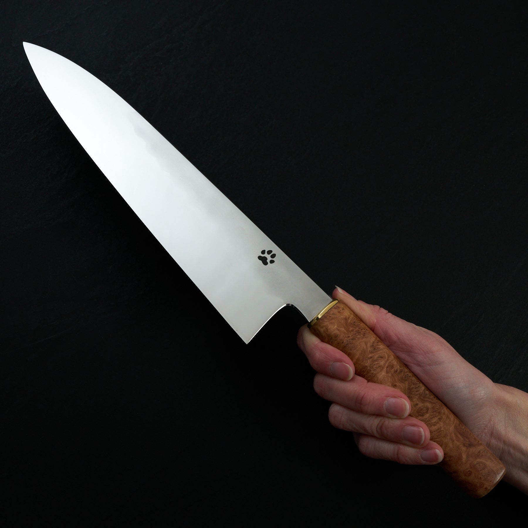 Isa Smedjan X Myojin Gyuto 245mm Spicy White, Eucalyptus Burl & Brass – blade close-up