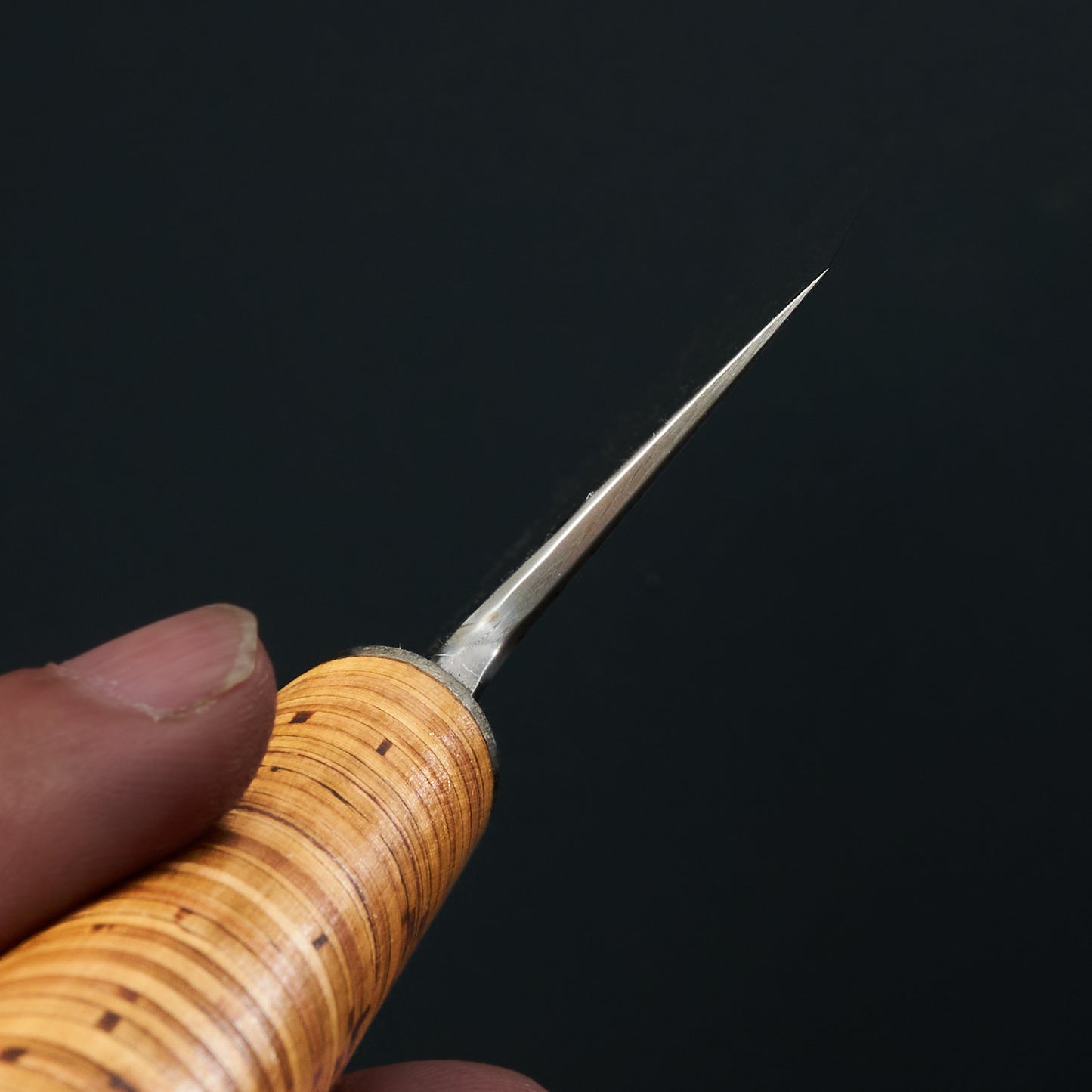 Choil view showing the gyuto’s fine convex bevels and thin geometry behind the edge