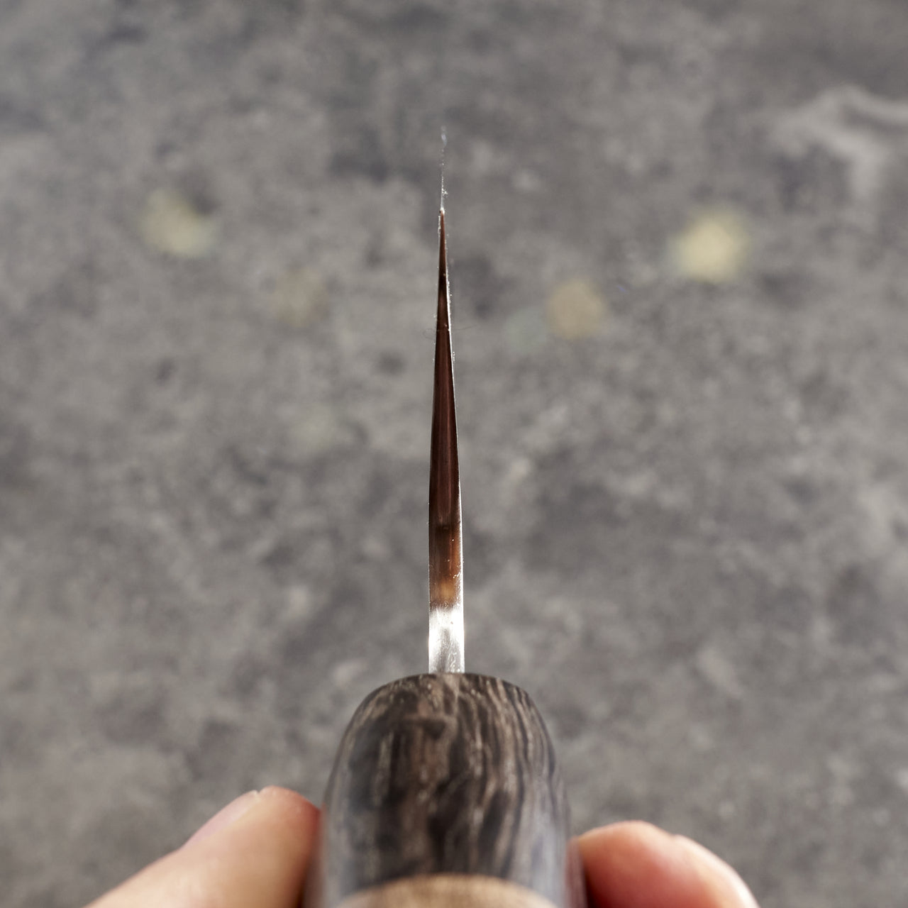Lew Griffin Gyuto 220mm AEB-L Stainless Steel - "S" Grind - Choil