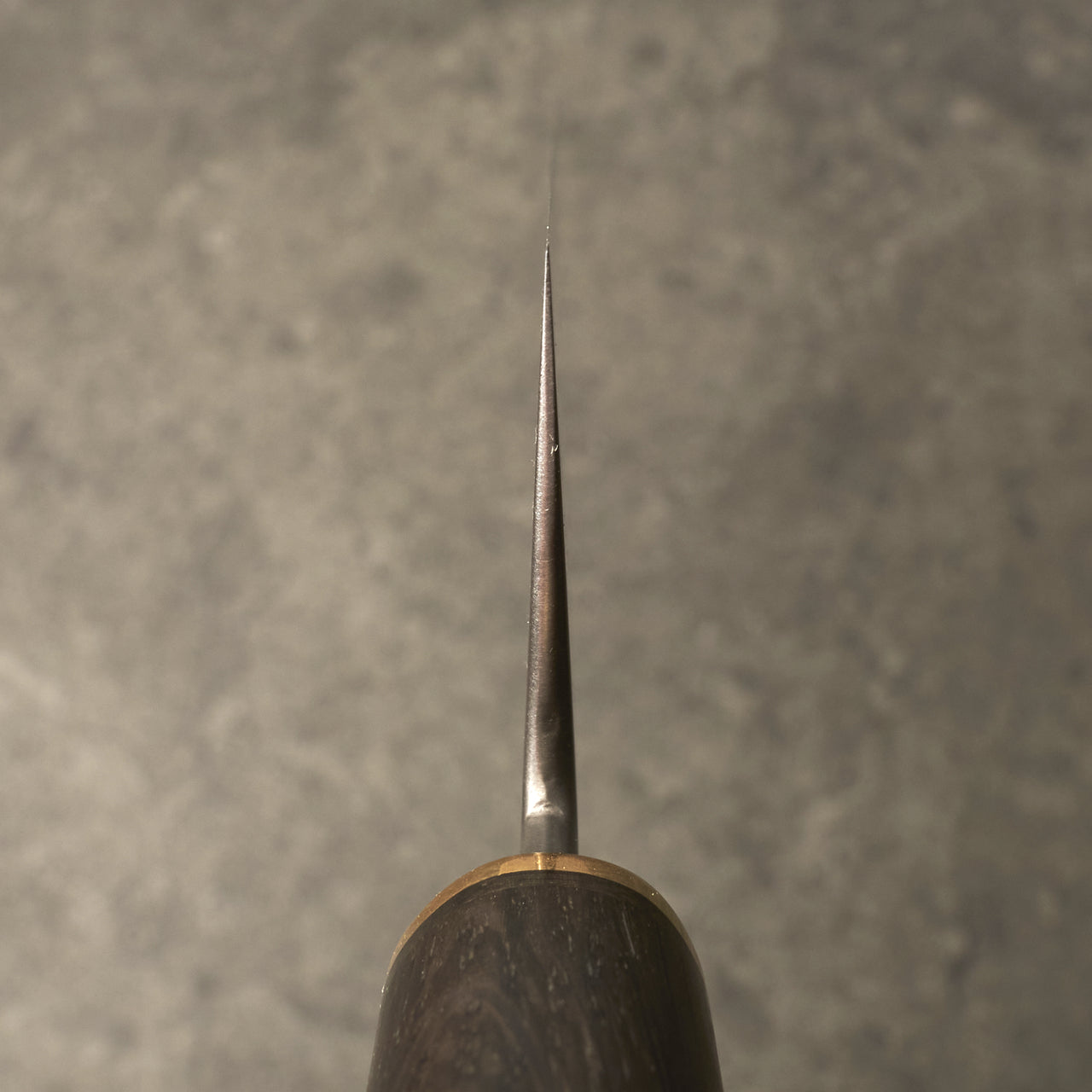 MCX Gyuto 230mm 26c3 Limited Release by Fredrik Spåre - Choil