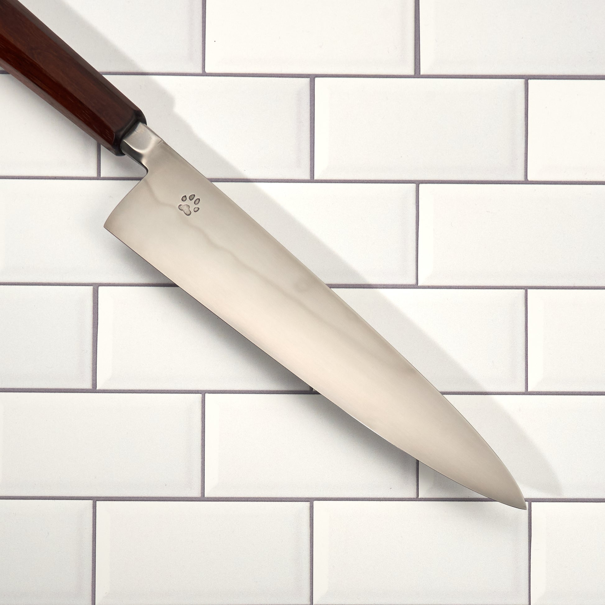 Gyuto 240mm Aogami #2 Honyaki Integral & Macassar Ebony